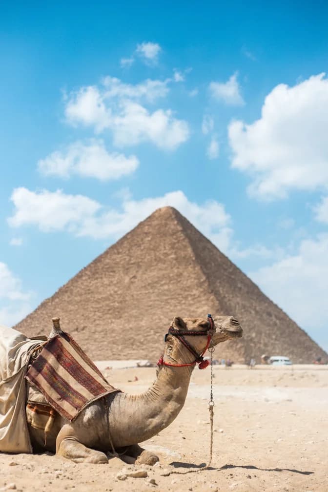 Egypt highlight 3