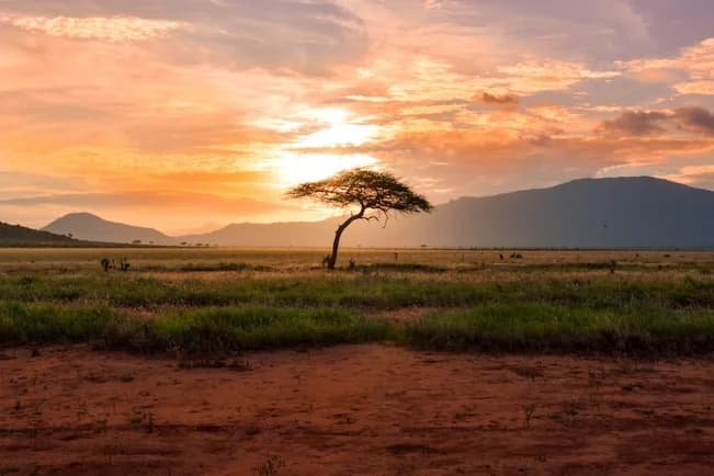Kenya highlight 2