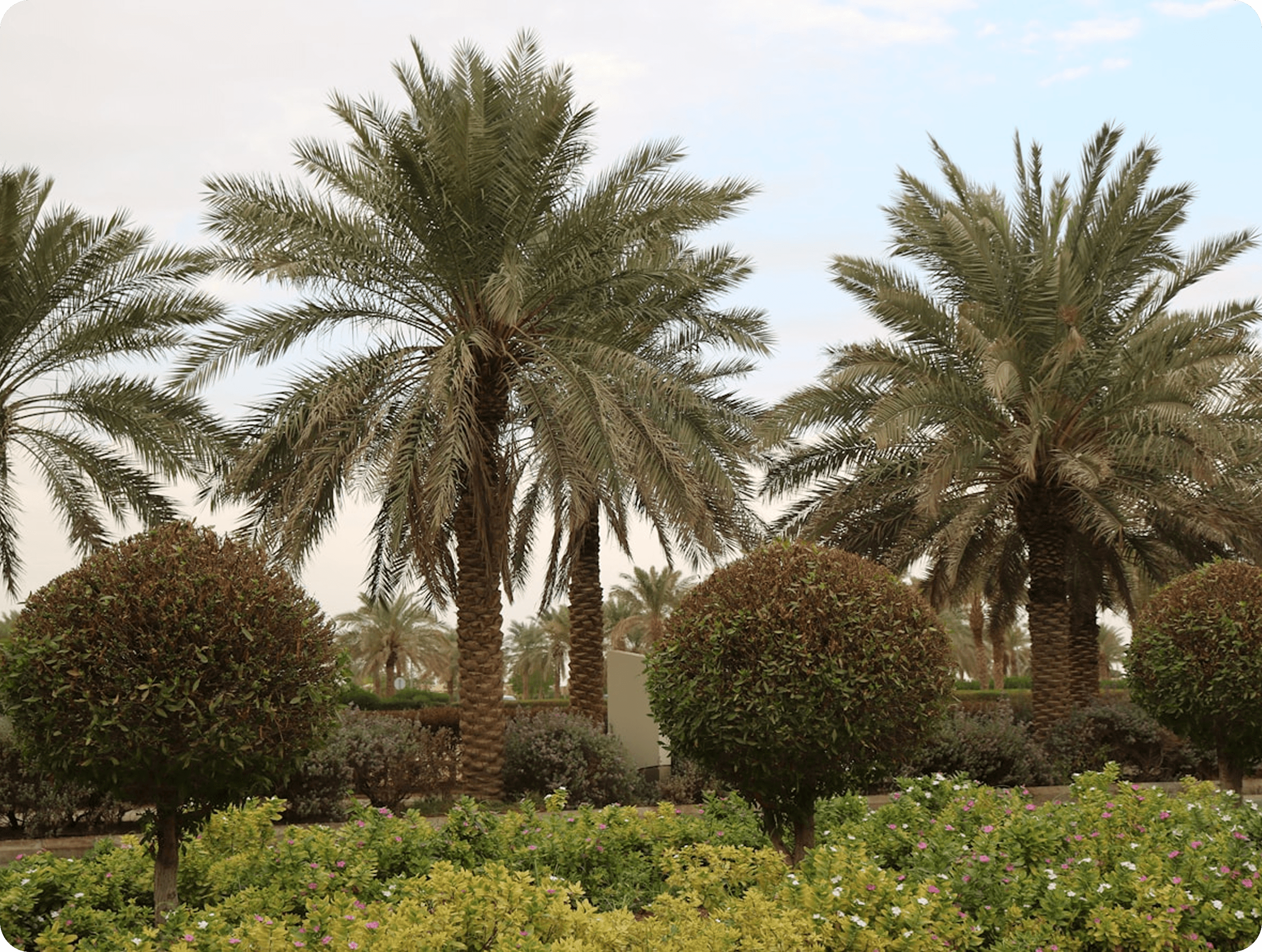 Historic architecture in Saudi Arabia