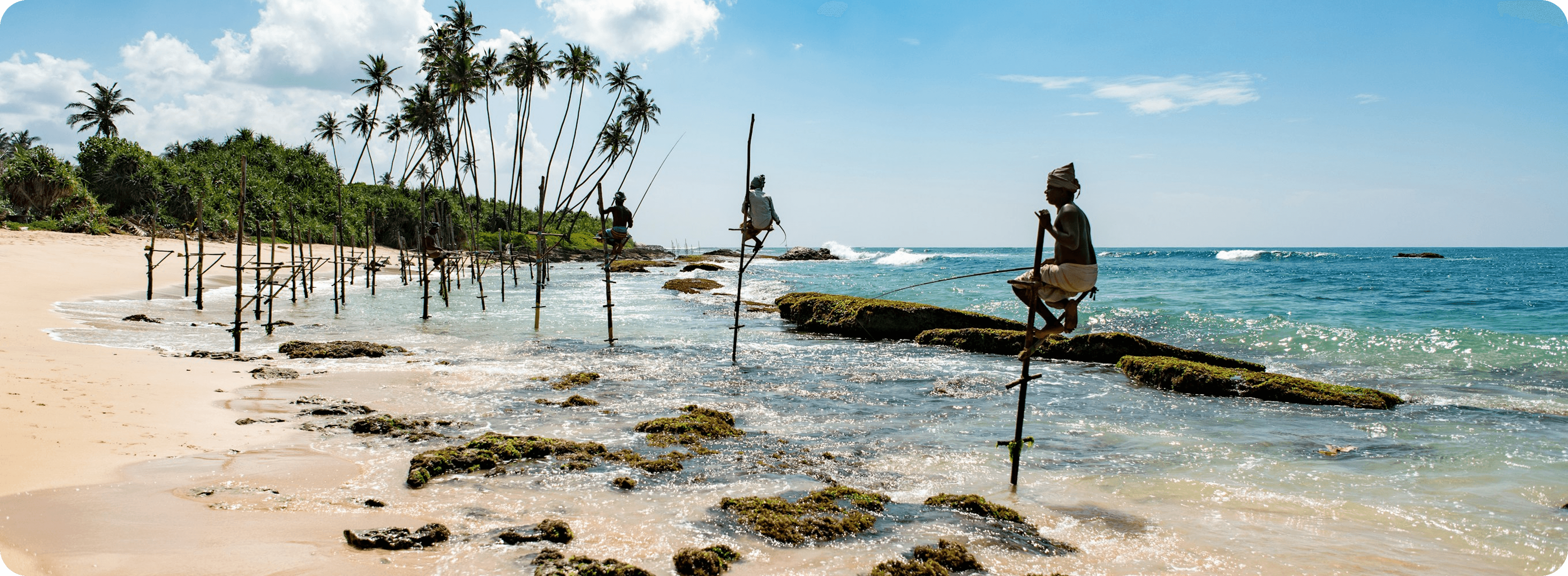 Sri Lanka coastline with stilt fishermen